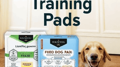 Evaluating the Best Dog Training Pads: Which Ones Truly Absorb?