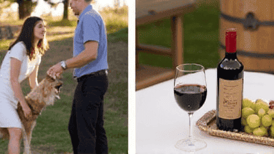 Exploring Pet-Friendly Wineries: Sip and Savor with Your Canine Companion