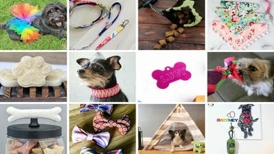 Fun DIY Projects for Pet Owners: Crafting Toys and Accessories for Your Furry Friend