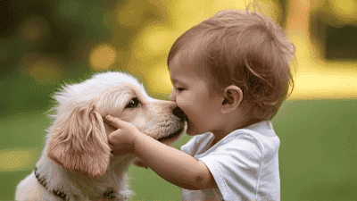 How to Help Your Child Build a Lifelong Bond with Your Pet