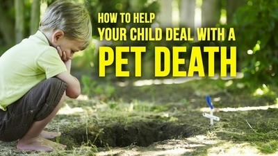 How to Help Your Child Cope with the Loss of a Beloved Pet