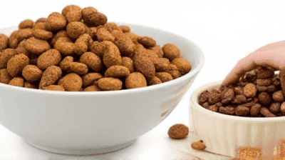 Nutrition 101: Choosing the Best Diet for Your Pet's Needs