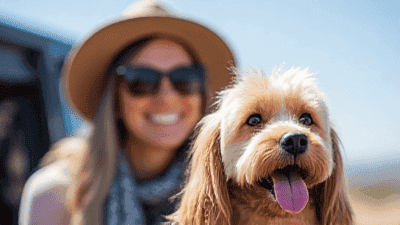 Pet-Friendly Road Trip Itinerary: The Best Stops Between East and West