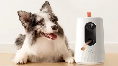 Pet Camera Reviews: Keeping an Eye on Your Furry Friends While You're Away