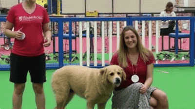 Pet Contests: How to Enter and Win Big with Your Best Friend