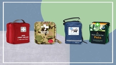 Pet First Aid Kits: What to Look for and Our Top Recommendations