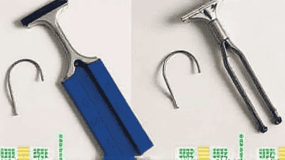 Pet Grooming Tools You Can't Live Without: Our Top Picks Reviewed