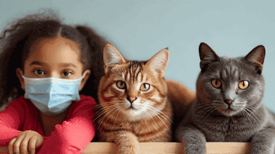 Pets and Allergies: How to Manage Symptoms While Keeping Your Family Happy