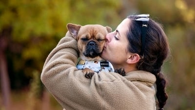 The Art of Candid Photography: Capturing Everyday Moments with Your Pet