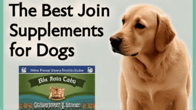 The Best Joint Supplements for Dogs: Do They Really Work?