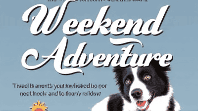 The Pet Parent's Guide to a Weekend Adventure: Fun Activities for You and Your Furry Friend