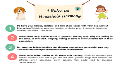 Tips for Raising Pets and Kids Together: Harmony at Home